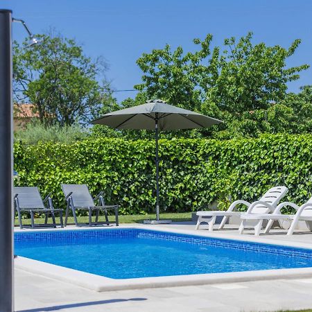 Holiday Home Villa Zirdum By Interhome Nova Vas  エクステリア 写真